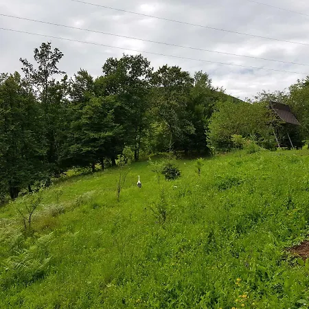Fazenda Gæstehus Kosiv