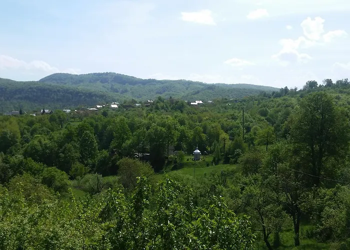 Fazenda Konukevi Kosiv