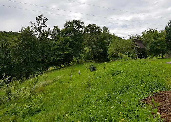 Fazenda Konukevi Kosiv